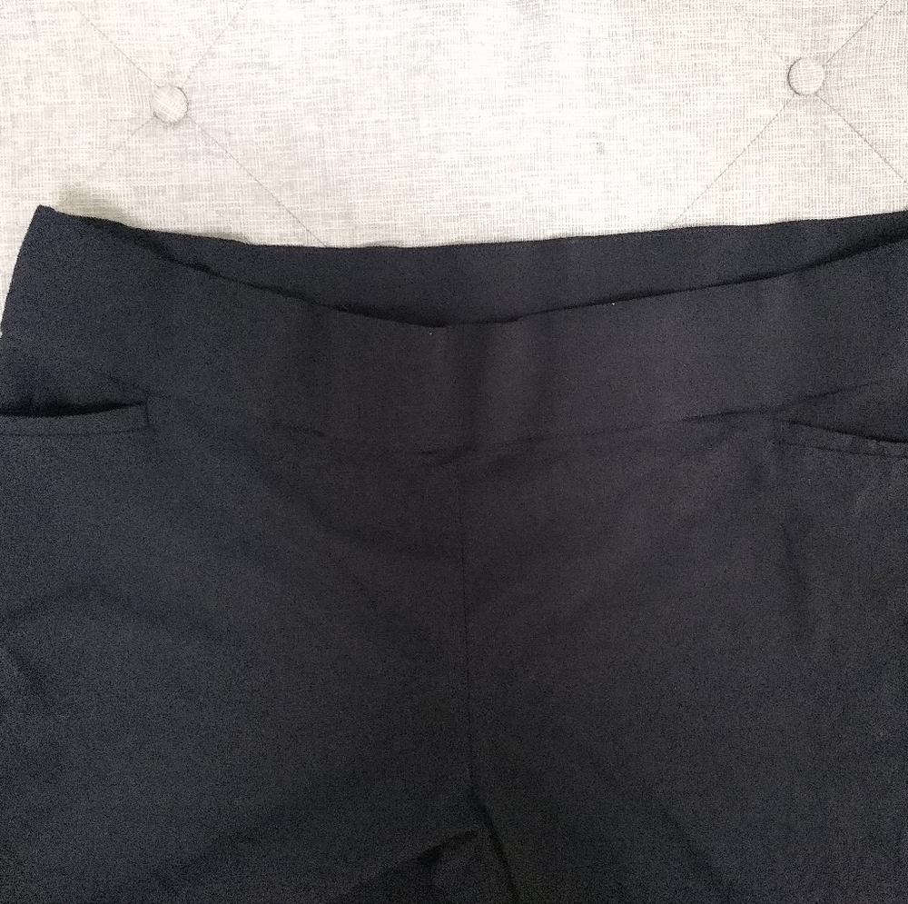 Terra and Sky Woman's Black Slacks 3X